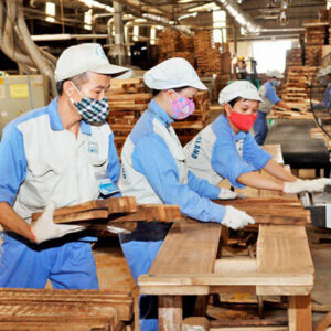Ngành Chế Biến Gỗ